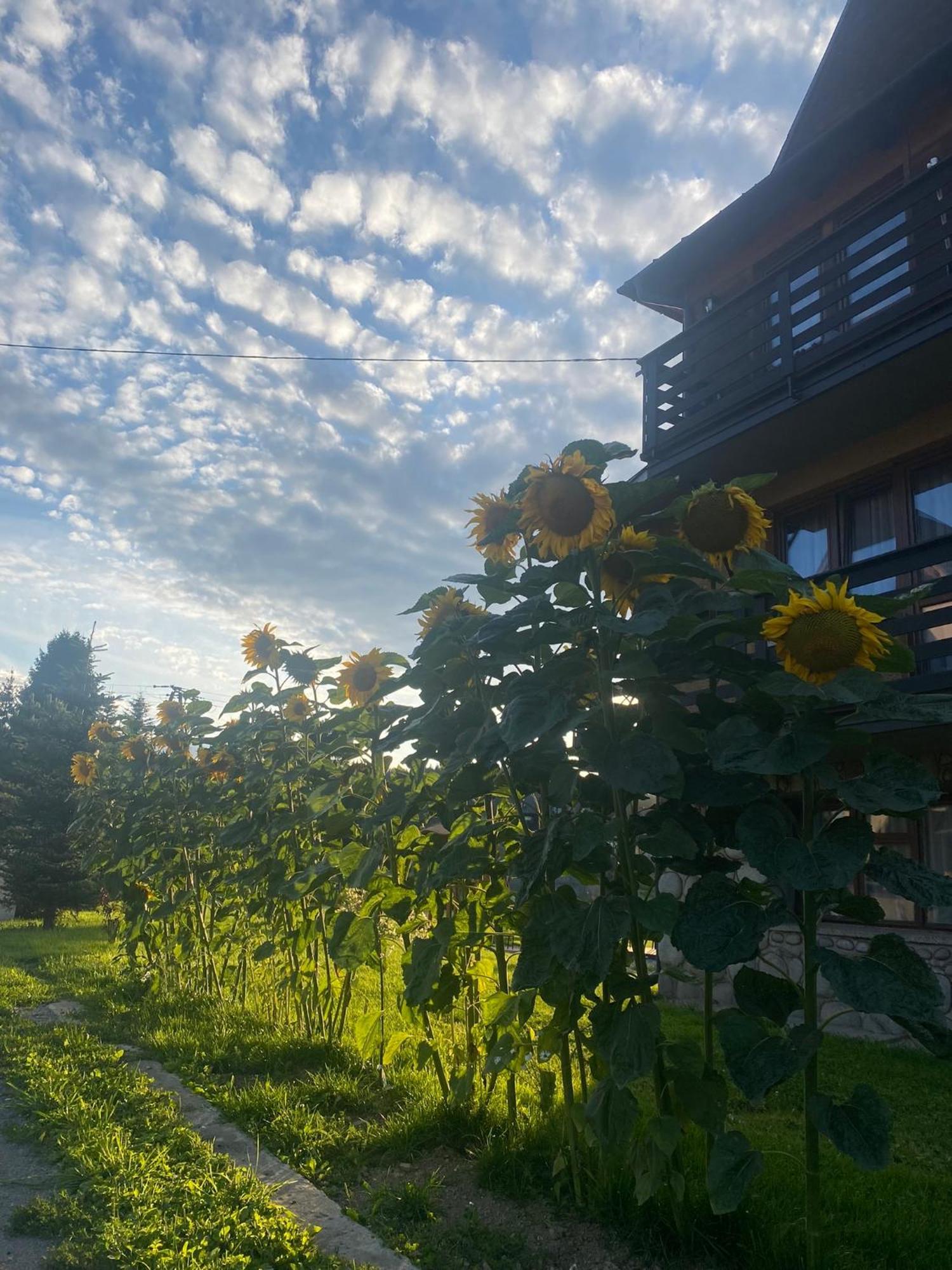 Pokoje Goscinne Maja Bialka Tatrzanska Bagian luar foto